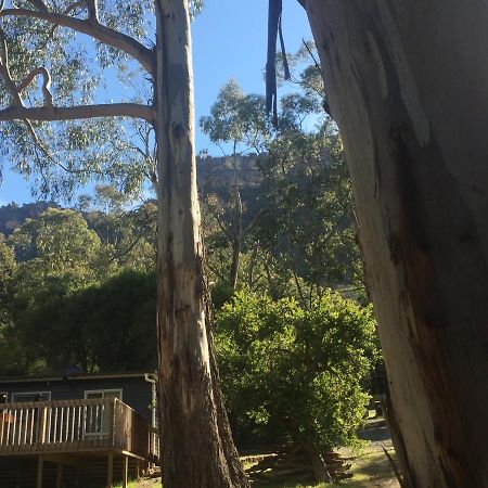 Вілла Grampians Nest Голлс-Гап Екстер'єр фото